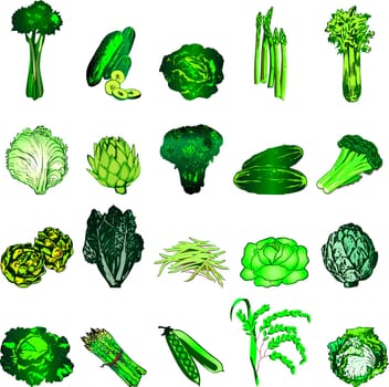 Vector Illustration of 20 green vegetable icons.