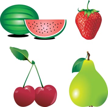 Vector Illustration of Fruit 2. Four types of fresh fruit isolated.