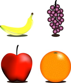 Vector Illustration of four pieces of fruit.