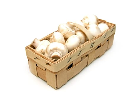 Mushrooms (Agaricus bisporus)