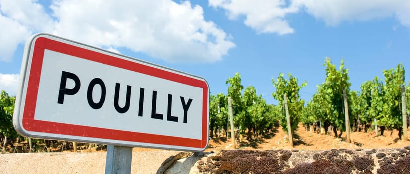 Pouilly, famous french city with wine agriculture