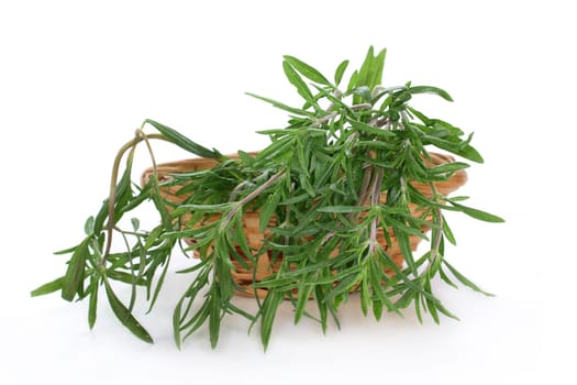 a bunch of savory against a white background