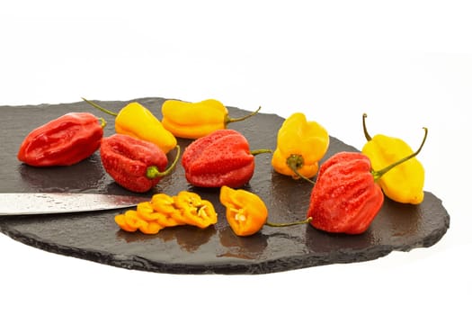 Habanero