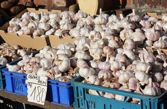 A lot of garlic in a little market in Czech Republic