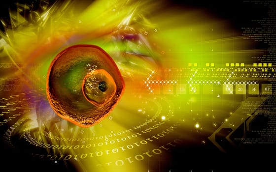 Digital illustration of Ovum cell in colour background