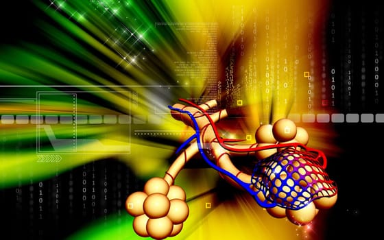 Digital illustration of alveoli in colour background