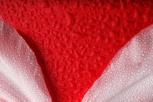 Water droplets on flower petals on a red background