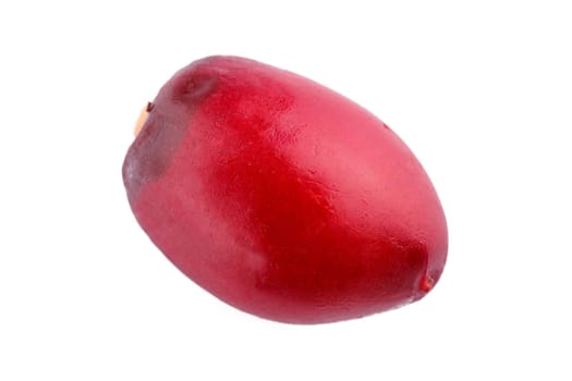 A single ripe date fruit on white