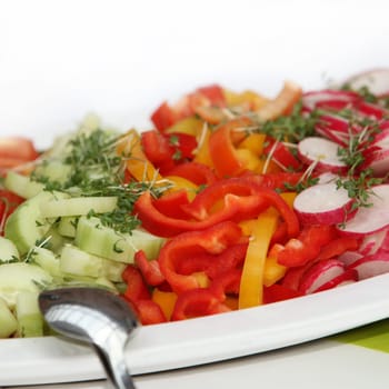 Delicious salad of cucumbers,peppers and radishes - close-up - square