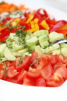 fresh salad with cucumbers and tomatoes - deliciously served - close-up