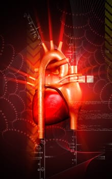 Digital illustration of heart in colour background
