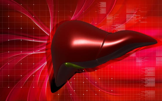Digital illustration of liver in colour background