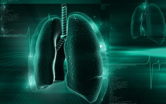 Digital illustration of human lungs in colour background