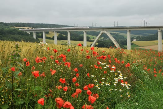 ICE Bridge near Melsungen
