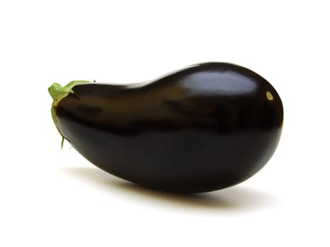 Eggplant (Solanum melongena)