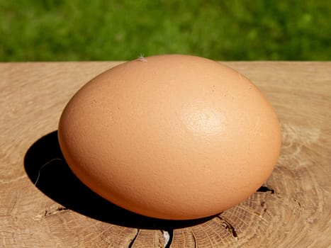 a fresh brown hen&#039 s egg on a wooden board