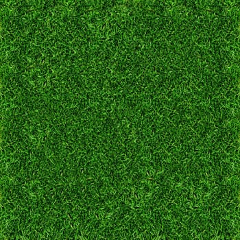 grass
