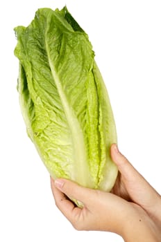 Food heals and low in calories a over white background