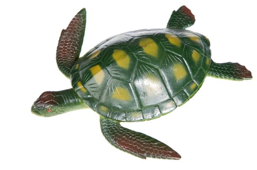 a photo of a turtle a over white background
