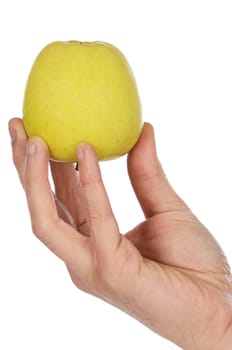 Food heals and low in calories a over white background