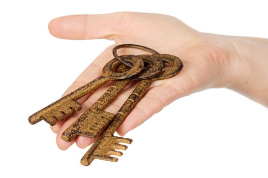 Three keys in the hand a over white background