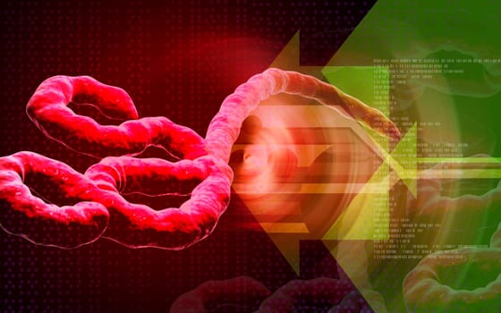 Digital illustration of Ebola virus in colour background