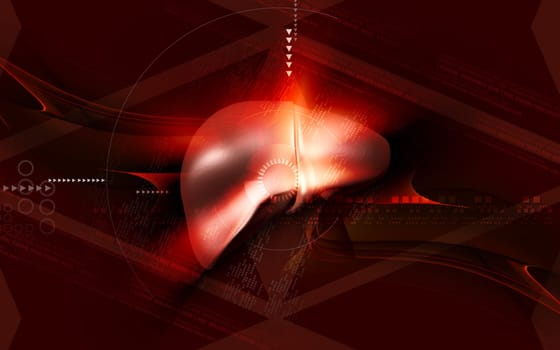 Digital illustration of liver in colour background