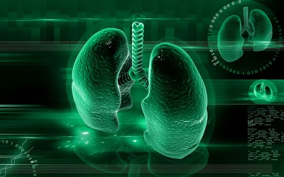 Digital illustration of human lungs in colour background
