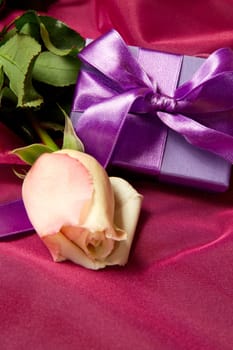 a lilac gift with rose