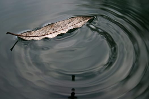 Waterdrop