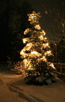 Christbaun