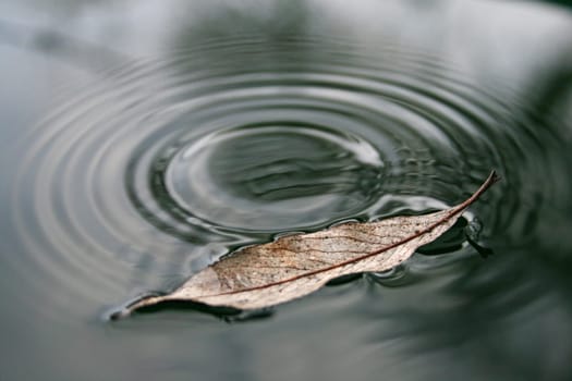 Waterdrop