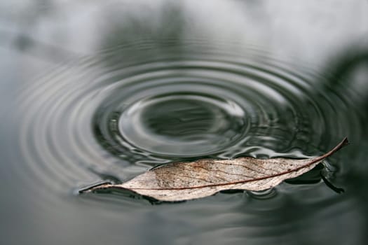 Waterdrop