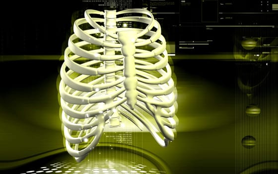 Digital illustration of rib cage in colour background