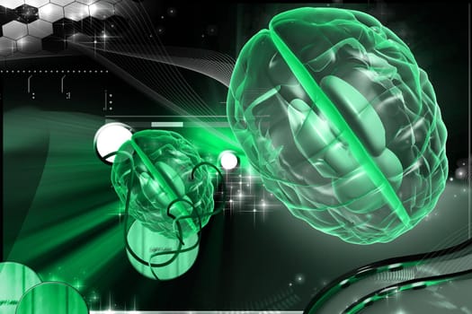 Digital illustration of brain in colour background
