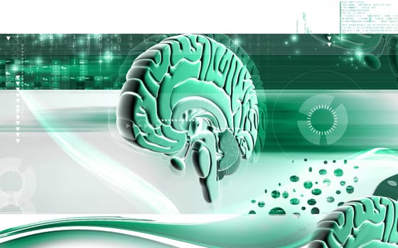 Digital illustration of brain in colour background