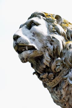 detail of stone lion