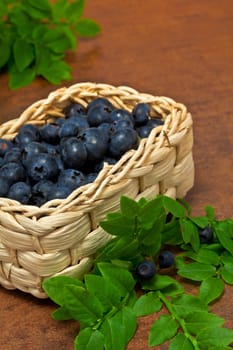 Blueberries - Blueberries