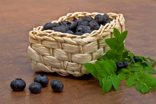 Blueberries - Blueberries