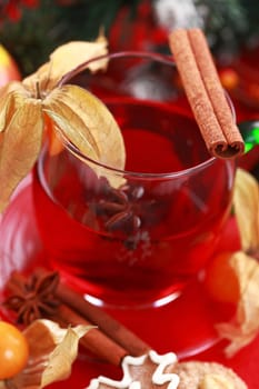 Hot wine punch for winter and Christmas