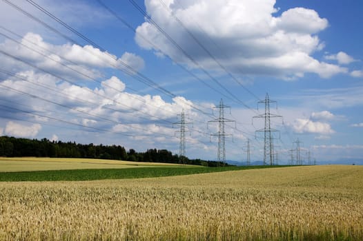 Nature under power
