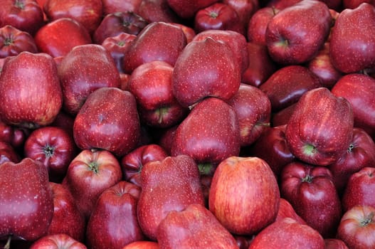 Red apples for sale at grocery store. Fruit background.