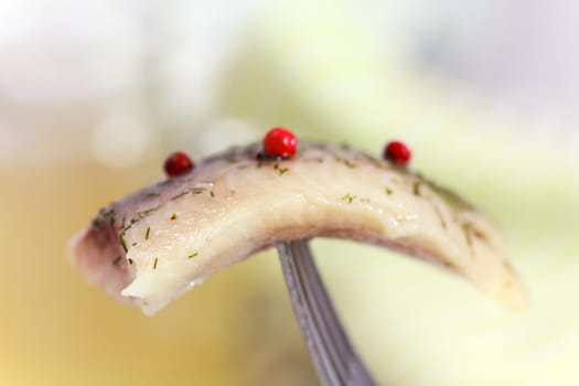 Matjes,young herring