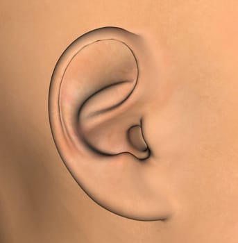Human ear background detail. 3d illustration design element.