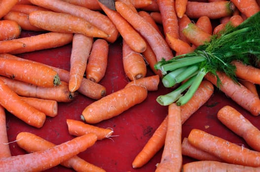 Carrots and dill for sale at grocery store. Vegetables background.