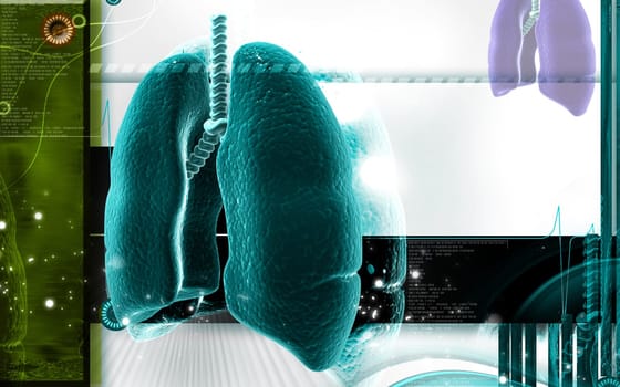 Digital illustration of human lungs in colour background