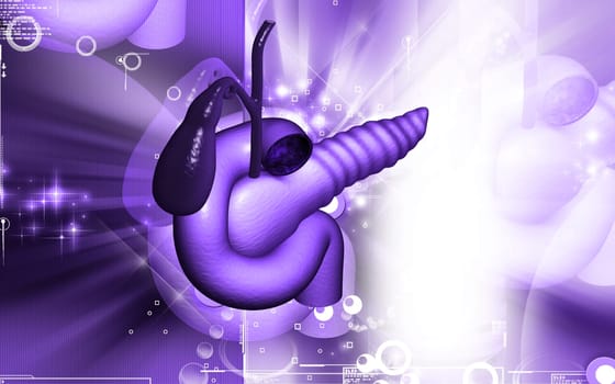 Digital illustration of pancreas in colour background