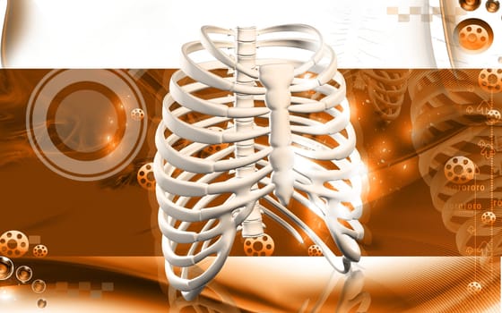 Digital illustration of rib cage in colour background