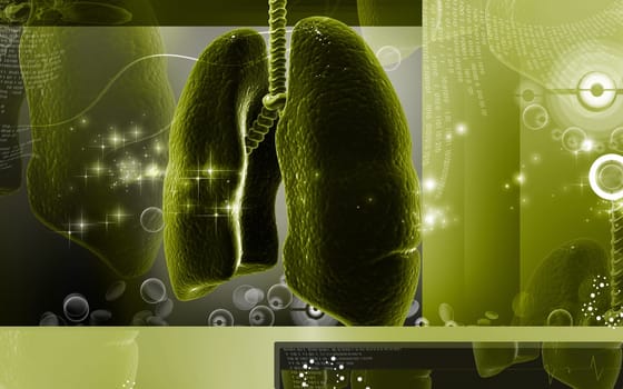 Digital illustration of human lungs in colour background