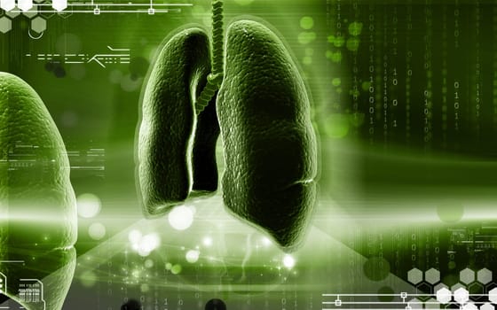 Digital illustration of human lungs in colour background